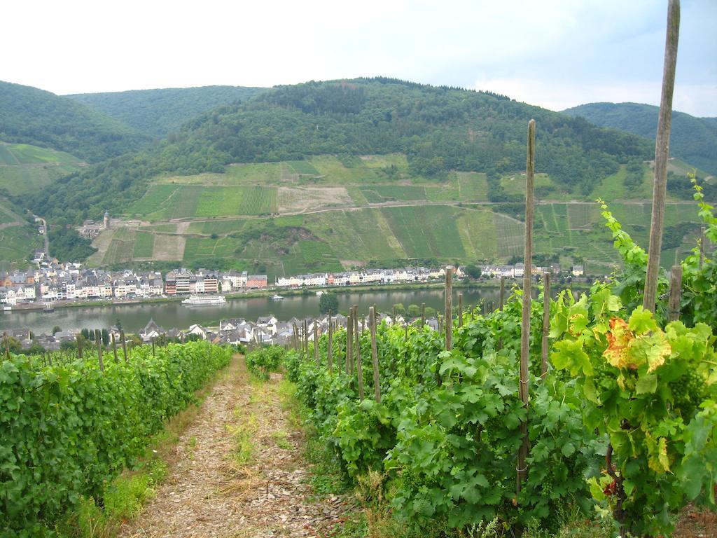 Vila Haus Anna Zell an der Mosel Exteriér fotografie